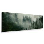 im Wald 3D Panoramabild Natur Nebel