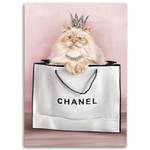 Bild auf leinwand Katze Tiere Chanel
