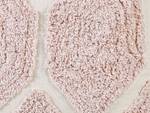 Pouf ROJHAN Beige - Pink