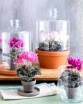 Kunstpflanze Cyclamen