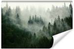 Wald Nebel im Landschaft Fototapete 3D