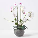 K眉nstliche Phalaenopsis-Orchidee wei脽e