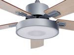 Ventilateur de plafond HOBBLE Gris - Gris lumineux - Chêne clair