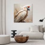 KUNSTDRUCK Majestic Cockatoo 1 30 x 30 cm