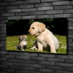 Wandbild Hund Katze Wiese 100 x 50 cm