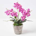 Künstliche lila Phalaenopsis-Orchidee Violett - Kunststoff - 27 x 42 x 42 cm