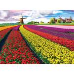 Tulpenfelder Puzzle Niederlande