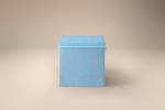 Lifeney Deckel mit Blau Aufbewahrungsbox