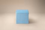 Lifeney Aufbewahrungsbox mit Deckel Blau Kunststoff - 34 x 4 x 34 cm