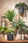 Plante artificielle Cycas-Palme 34 x 33 x 34 cm