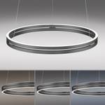 LED Pendellampe PURE-E-LOOP Grau - Metall - 70 x 350 x 70 cm