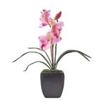 Kunstblumen Cymbidium Klein Orchidee Pink - Kunststoff - 8 x 32 x 32 cm