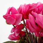 Kunstpflanze Cyclamen