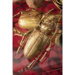 Wandschmuck Longicorn Beetle Gold - Kunststoff - 15 x 27 x 7 cm