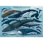 Wale und Delfine Puzzle 1000 Teile