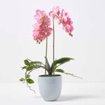 pinke K眉nstliche Phalaenopsis-Orchidee