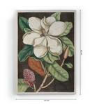 Magnolie Leinwand 60x40