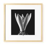 Fotografie limitiert Flower of Hope Schwarz - Weiß - Glas - Holz teilmassiv - 50 x 50 x 3 cm