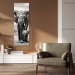 KUNSTDRUCK Elephant and Calf Gray 50 x 150 cm