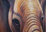 脰lgem盲lde Nahaufnahme Elefant handgemalt