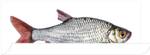 Wandtattoo Fisch D159029 Grau - Naturfaser - Textil - 97 x 49 x 49 cm