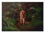 Vlies Fototapete Tiere Tiger Wald 3D