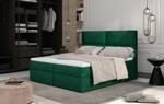 Box Spring Lit Clivia Vert