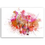 Leinwandbild Bunt Zebra Tier Abstrakt 100 x 70 cm