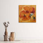 Wandbilder Blume Mohnblumen Orange 40 x 40 cm