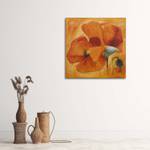 Wandbilder Blume Mohnblumen Orange