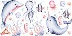 Aufkleber Meerestiere Muscheln Aquarell 60 x 30 x 30 cm