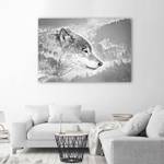 Grau Leinwandbild Wald Wolf Tiere