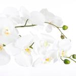 Kunstpflanze Phalaenopsis Weiß - Durchmesser: 51 cm