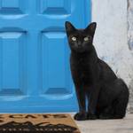 Fu脽matte Kokos Katzen mit schwarzen