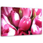Blumen Rosa auf leinwand Tulpen Bild
