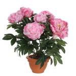 Kunstpflanze Pfingstrosen Pink - Kunststoff - 45 x 50 x 45 cm