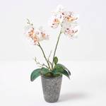 K眉nstliche wei脽e Phalaenopsis-Orchidee