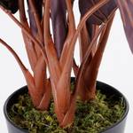 Plante artificielle Calathea Profondeur : 40 cm