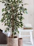 Kunstpflanze Ficus
