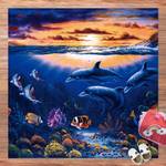 Dolphins World 240 x 240 cm