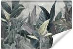 Papier Peint FEUILLES Tropicales Plantes 460 x 300 x 300 cm