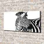 Wandbild Zebra im Schnee 140 x 70 cm