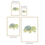 Schildkröte gerahmtes Poster 30 x 45 cm