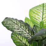 Plante artificielle Dieffenbachia 60 x 120 x 60 cm