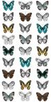 XXL-Vliestapete Schmetterlinge