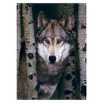 Puzzle Grauer Wolf 1000 Teile Papier - 26 x 6 x 36 cm