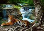 Vlies Fototapete Tiger Wasserfall Wald