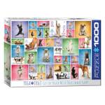 Puzzle Yoga Dogs 1000 Teile Papier - 26 x 6 x 36 cm