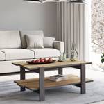 Couchtisch Leone 12 Grau - Holzwerkstoff - 110 x 46 x 60 cm