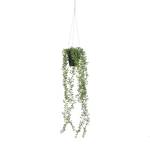 Plante artificielle suspendue Senecio Vert - Matière plastique - 9 x 68 x 9 cm